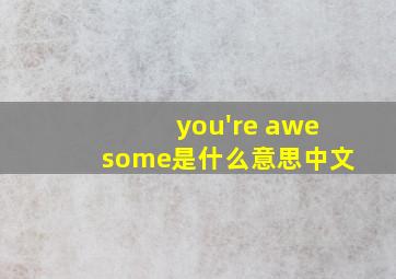 you're awesome是什么意思中文